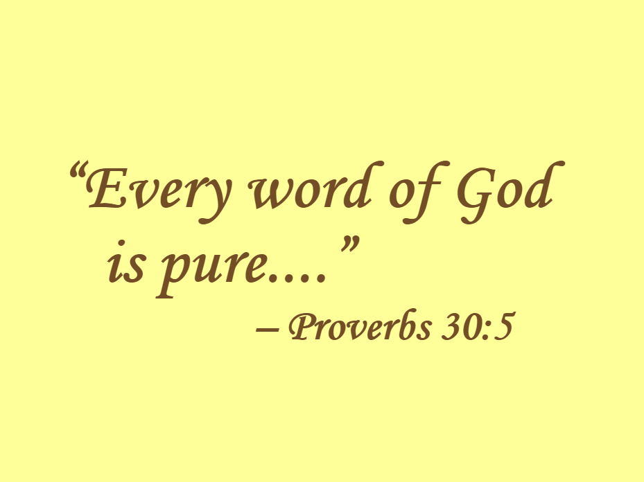 'Every word of God is pure....(Proverbs 30:5)'